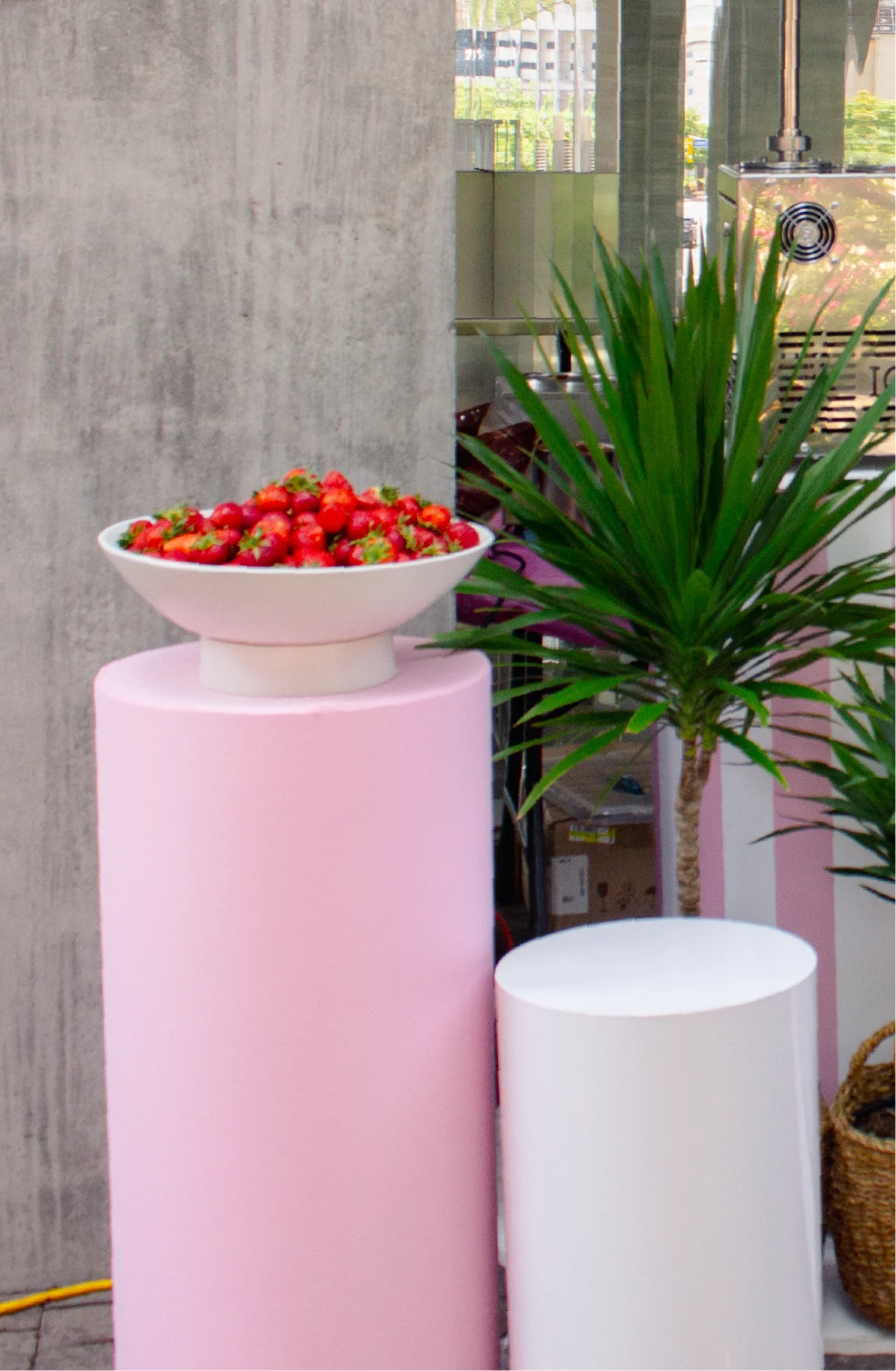 Plinths